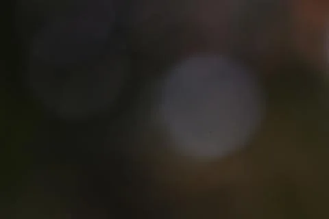 Abstract background with blurred dark hues and glowing orbs elements 스톡 사진