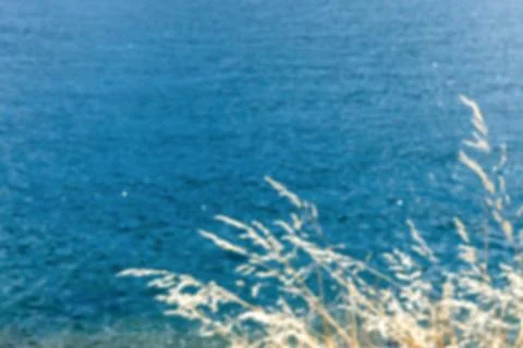 Abstract background, blurred image of grass ears against the sea Stock Photos
