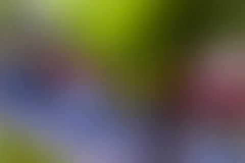 Abstract background with blurred soft focus Foto stock