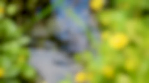 Abstract background, blurred texture, modern backdrop Stock Footage 330482172