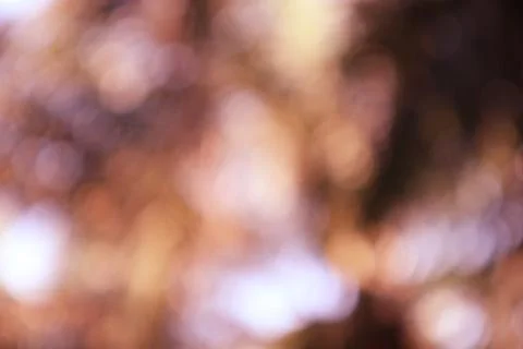 Abstract background with bokeh effect in warm brown and white colors Stock Photos