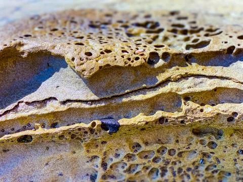Abstract background  of a boulder with holes Stock Photos