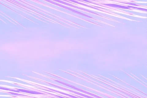 Abstract background of branches of palm trees of lilac color with a view of t Stock Photos
