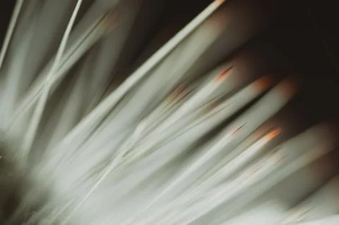 Abstract background with bright lines , black background Stock Photos