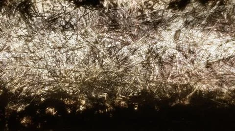 Abstract background brown light and dark brown vintage background Stock Photos