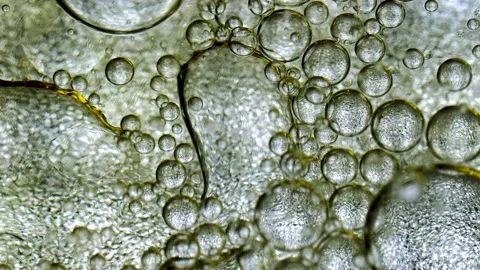 Abstract background bubble gold brown tones Stock Footage 224233237