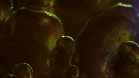 Abstract background bubble gold brown tones Stock Footage 224233374