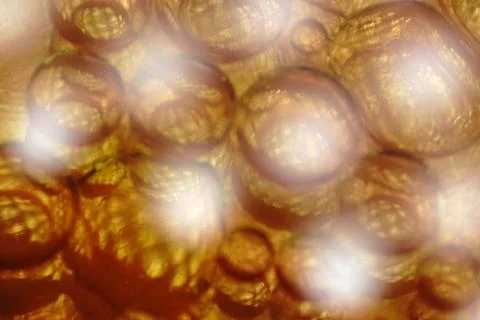 Abstract background bubble gold brown tones Stock Photos