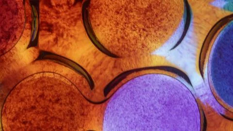 Abstract background with bubbles, Vibrant Abstract Oil and Water Bubbles wi.. Stock Illustration