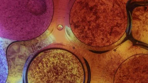 Abstract background with bubbles, Vibrant Abstract Oil and Water Bubbles wi.. Stock Illustration