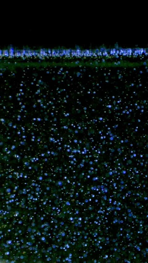 Abstract Background of Bubbles in Water Slow Motion Video stock 306000343