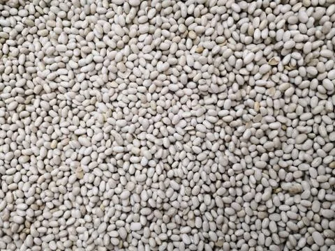 Abstract background of a bunch of white beans, also called navy bean 스톡 사진