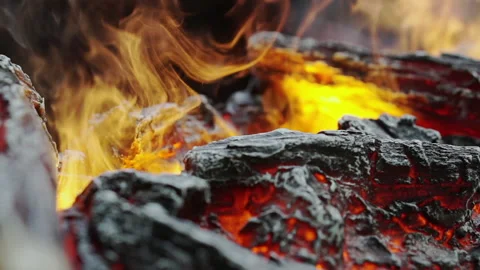 Abstract background with burning embers. Stock Footage 194786824