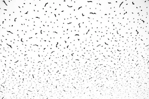 Abstract background, ceiling or wall of a building, background, pattern. Stock Photos