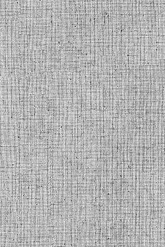 Abstract background. Chaotic circles and lines Stock Illustration