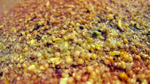 Abstract background. Close up little shells washed by clear water. Stock Footage 37355366