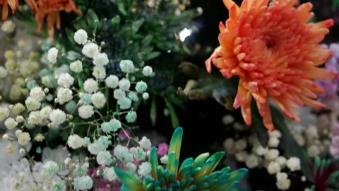 Abstract background close-up of various colors. Stock Footage 164053596