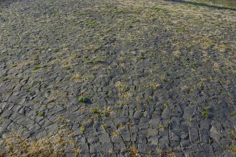 Abstract background of cobblestone pavement of stone blocks Foto stock