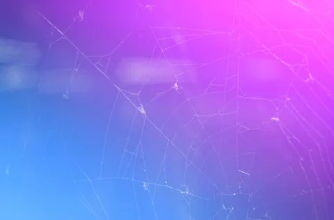 Abstract background with color gradient and blurred spider web. Trendy neon Stock Photos