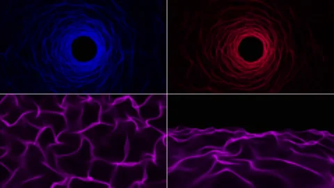 Abstract background, colored animated moving net, shapes, circles, bubbles an Stock Footage 157822614