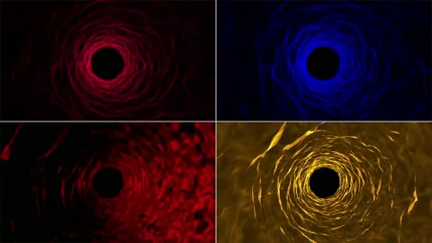 Abstract background, colored animated moving shapes, circles, bubbles - movem 스톡 동영상 202240897