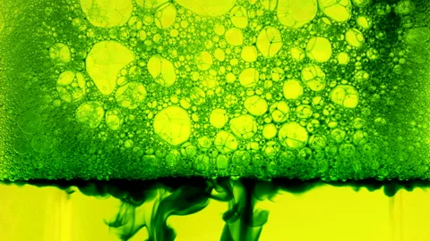 Abstract background with colorful bubbles, 4K. Bright soap foam. Ink transition. Stock Footage 144260836