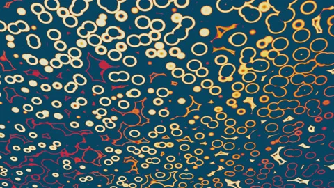 Abstract background with colorful circles. Stock Footage 236954959