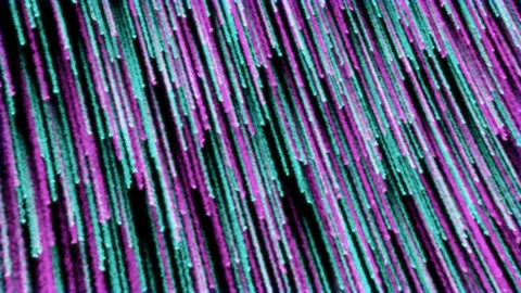 Abstract Background With Colorful Lines Moving Lightly And Smooth Video stock 134285331