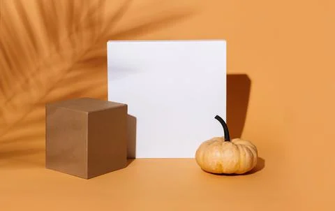 Abstract background composition with geometric shapes and thanksgiving pump.. Stock Photos