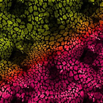 Abstract background composition, with paint strokes and splashes Illustrazione stock