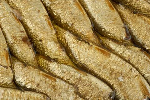 Abstract background: conserved sprat fish in oil Stock Photos