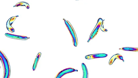 Abstract background of continuously falling holographic bananas on a white Video stock 155179557