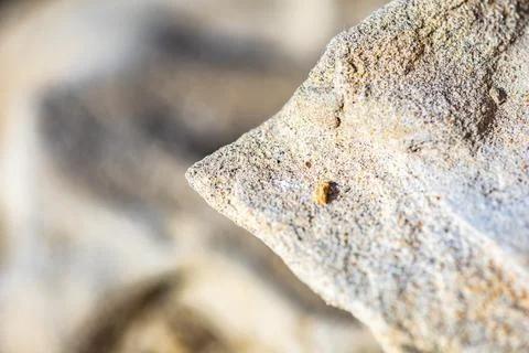 Abstract background of a corner of a cliff, macro Stock Photos