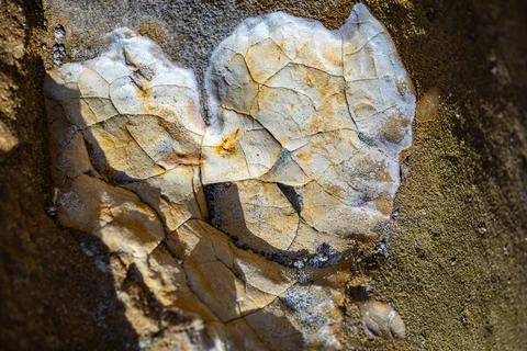 Abstract background of cracks in a stone, macro Stock Photos