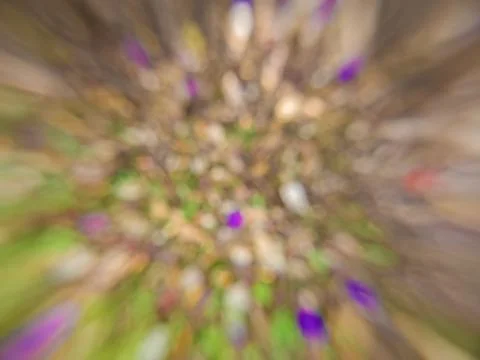Abstract background created from a defocused glory bush Stock Photos