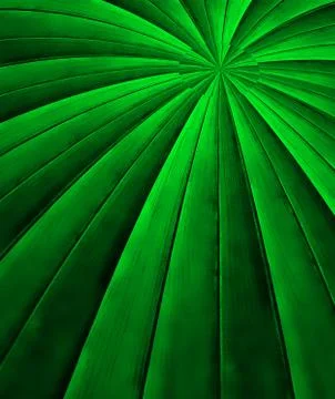 Abstract background curve design Stock Illustration
