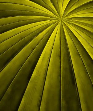 Abstract background curve design Stock Illustration