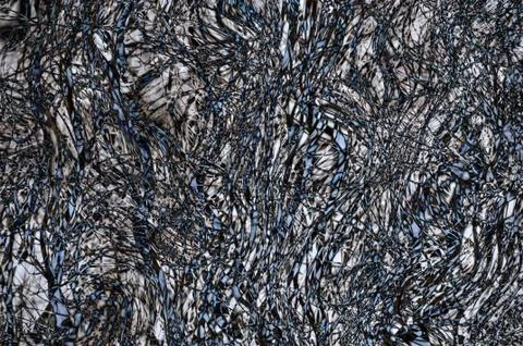 Abstract background curves lines Stock Illustration