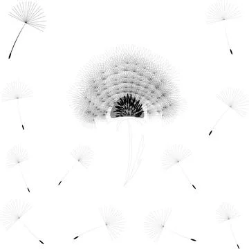 Abstract background of a dandelion for design. The wind blows the seeds of a  Stock Illustration
