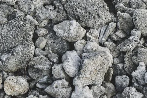Abstract background of dead grey corals Foto stock
