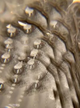 Abstract background with defocus on a black background. Stock Photos