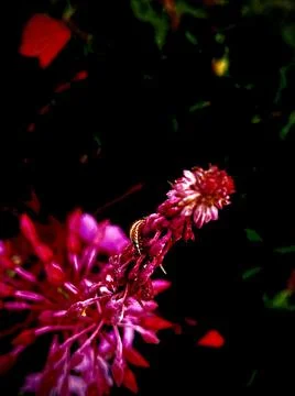 Abstract background with defocus on a black background. Stock Photos