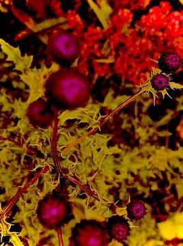 Abstract background with defocus on a black background. Stock Photos