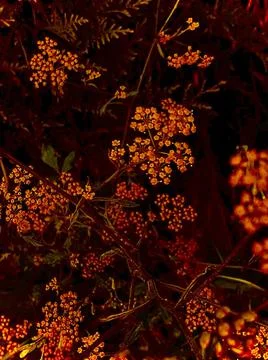 Abstract background with defocus on a black background. Stock Photos