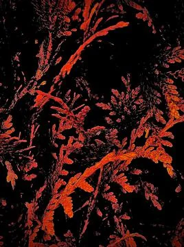 Abstract background with defocus on a black background. Stock Photos