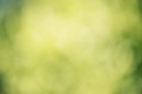 Abstract background defocus light blurred green leaves. Defocused green natur Stock Photos