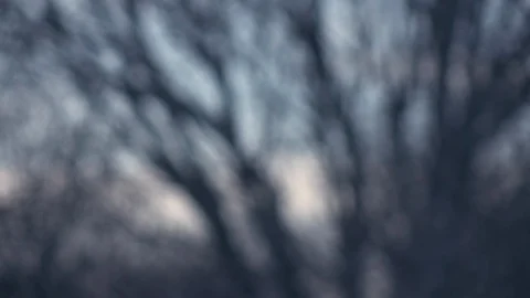 Abstract background with defocused leafless forest and blurred snowfall in front Stock Footage 87871035