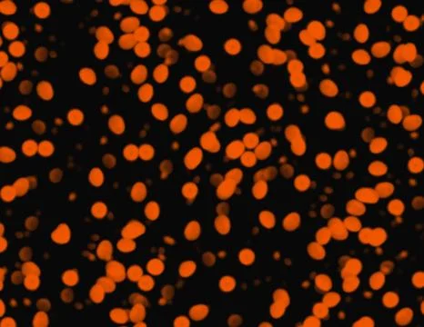Abstract background for design in orange and black colors Stock Illustration