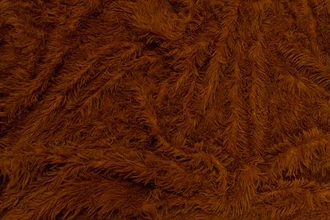 Abstract background of detail bright pattern texture shaggy fur with long fib Stock Photos