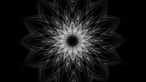 Abstract background of developing blossom pattern - seamless looping (FULL HD) Video stock 83879368